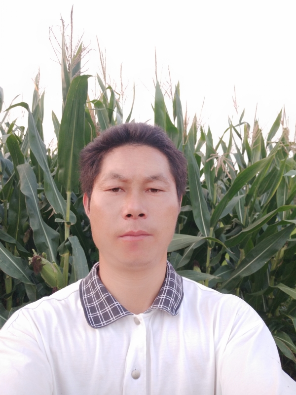 四海游龙的第一张照片--南安相亲网