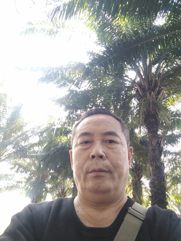 重振雄风的第二张照片--南安相亲网