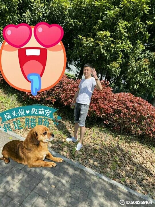 我若不坚强谁替我勇敢的第一张照片--南安相亲网